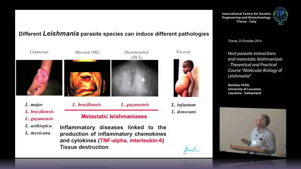 N. Fasel - Host parasite interactions and metastatic leishmaniasis