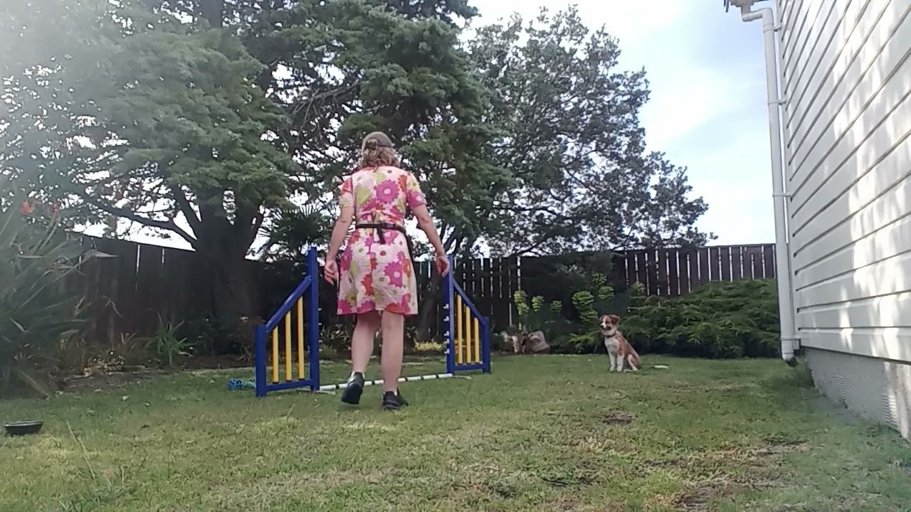 Diagonal entry/ exit. Toot 4.5 months. 8/12/2025