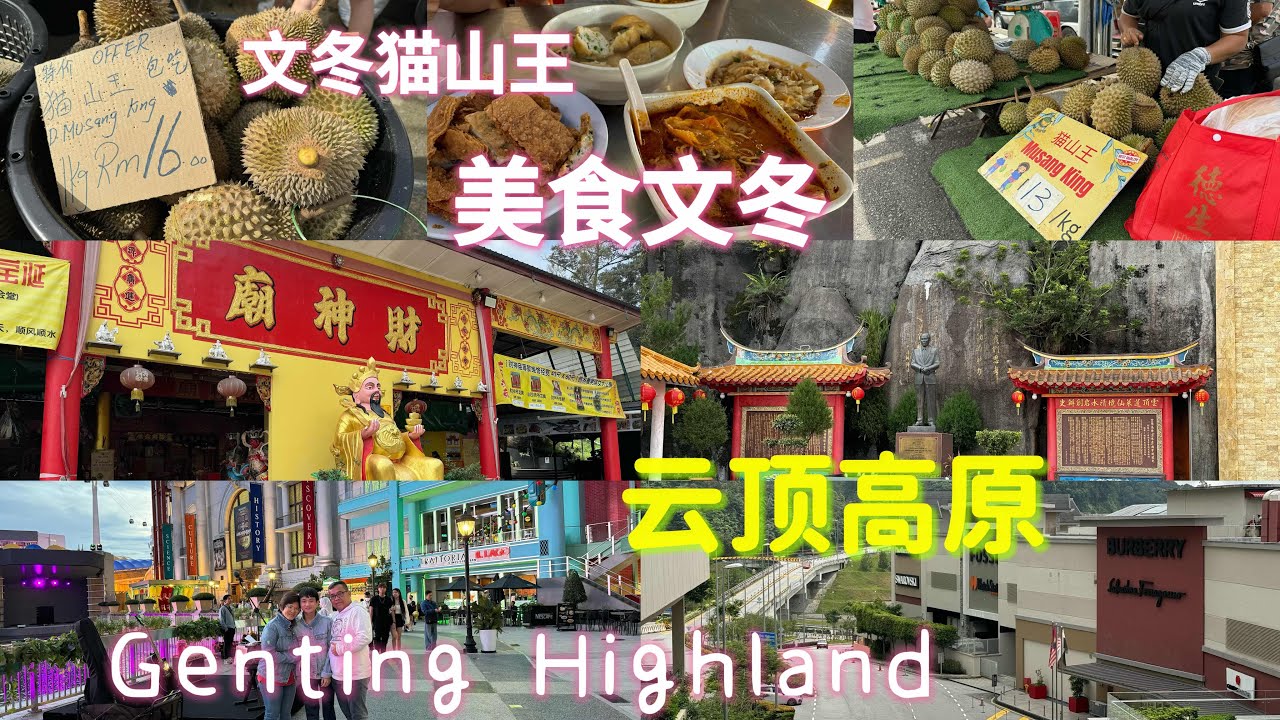 文冬美食过后去拜拜财神爷，拜拜过后马上开车去云顶高原接财神，但是来到了云顶高原今天没有进去赌场，就是一直陪伴家人一起逛逛云顶高原。
