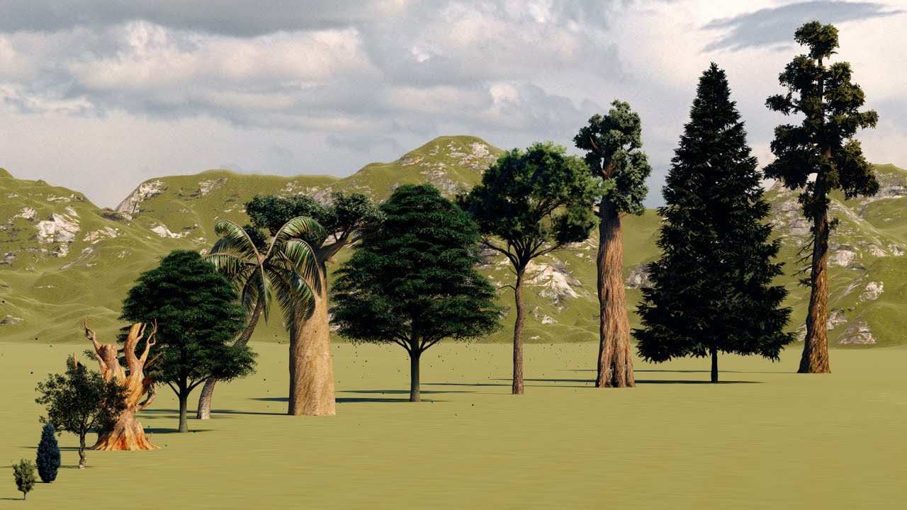 Tree Size Comparison | 3D