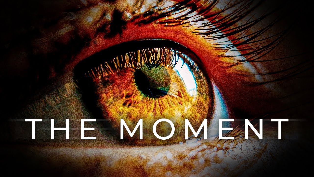 У вас побегут мурашки по коже — Алан Уоттс о вечном настоящем