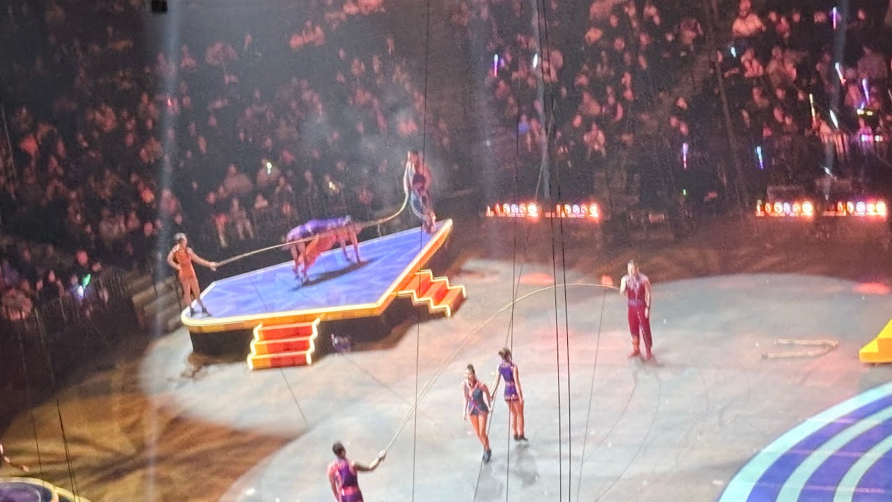 Circus Show Pt 2