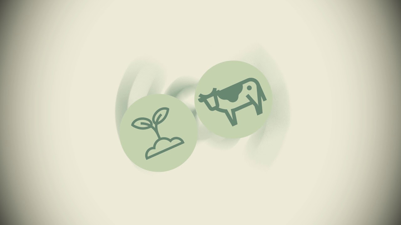 Effects of Climate Change in Zambia