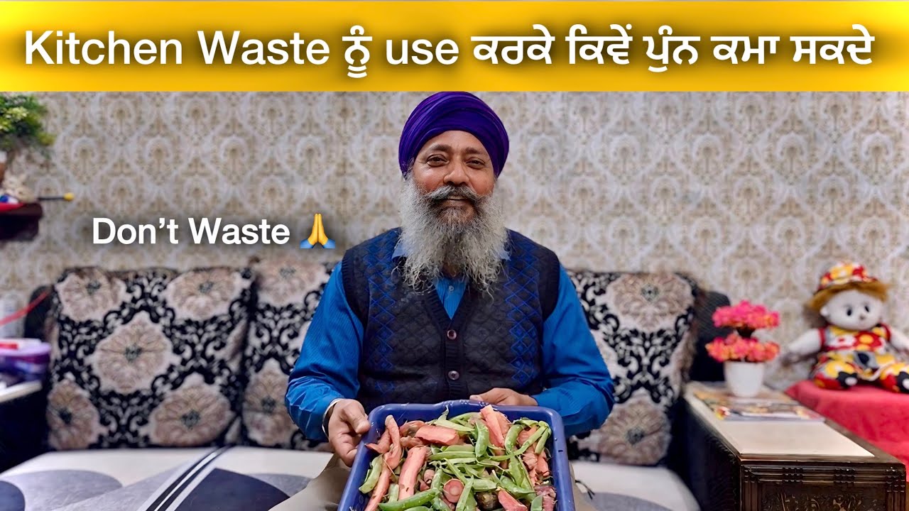 Don’t Waste, Feed Someone | A Small Act Of Kindness | ਅਸਲੀ ਪਿਆਰ, ਬੇਜ਼ਬਾਨਾਂ ਤੋਂ ਸਿੱਖੋ 🙏