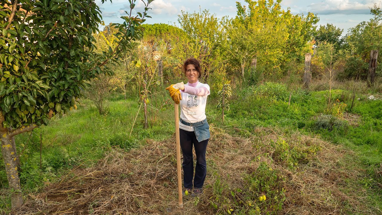 FAVE E PISELLI. SEMINE D'AUTUNNO NELL'ORTO