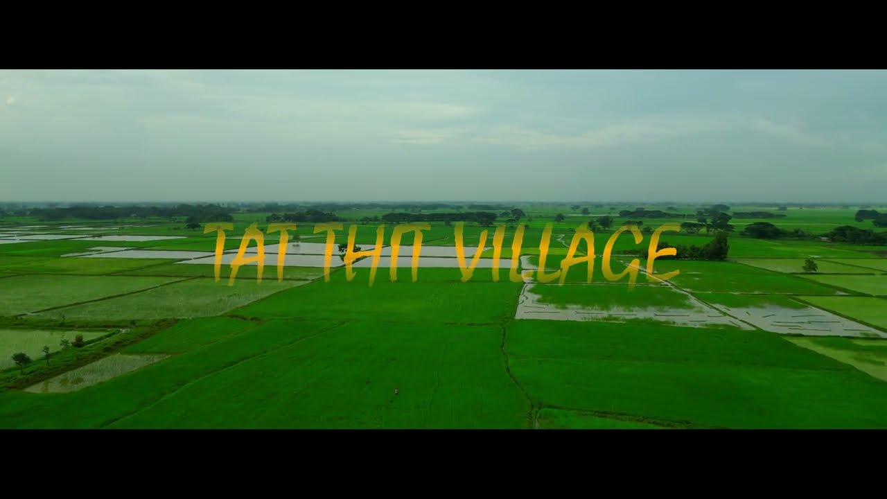 Rice Fields in Myanmar, 4K cinematic drone shot