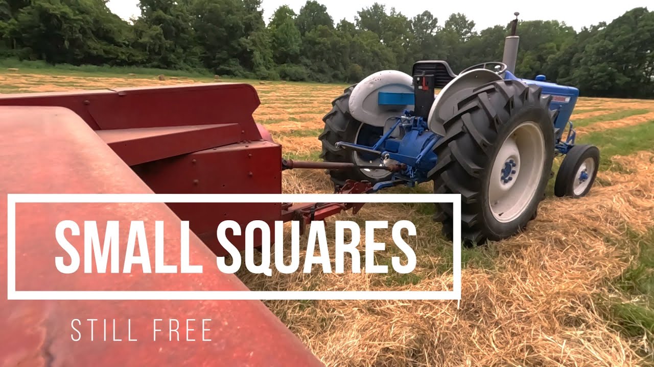 Free Hay!! - Part Two and a Half -