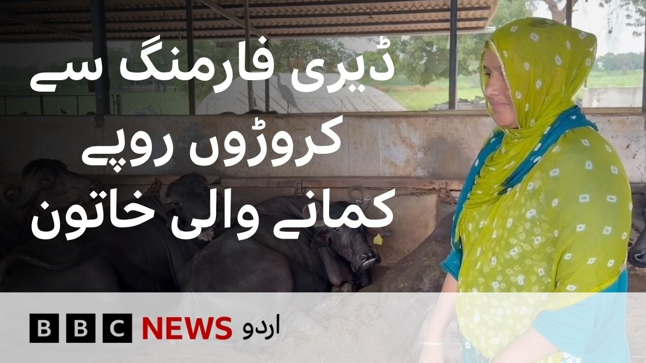 Meet the woman earning crores from dairy farming - BBC URDU