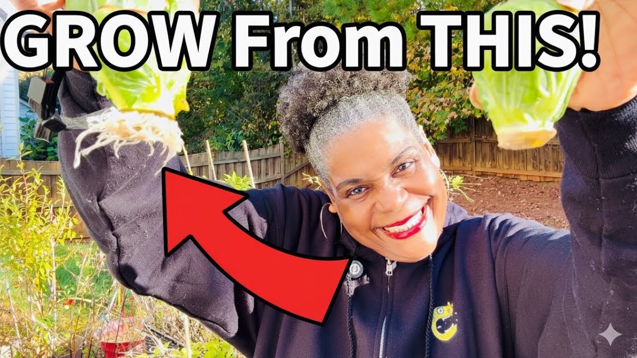 How To Grow Mind-Blowing Brussels Sprouts From A Whole Sprout (Fall Growing Guide)