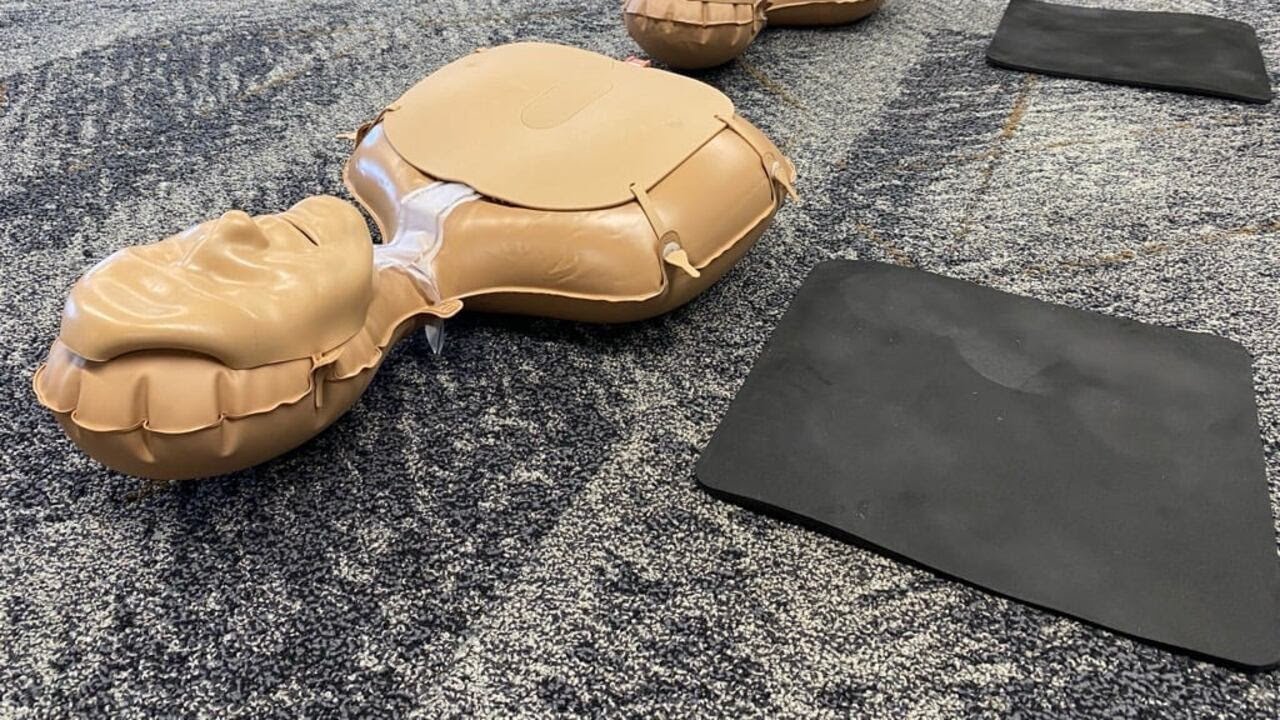 &lsquo;Hands on Heroes&rsquo; CPR event breaks record for number trained at one time