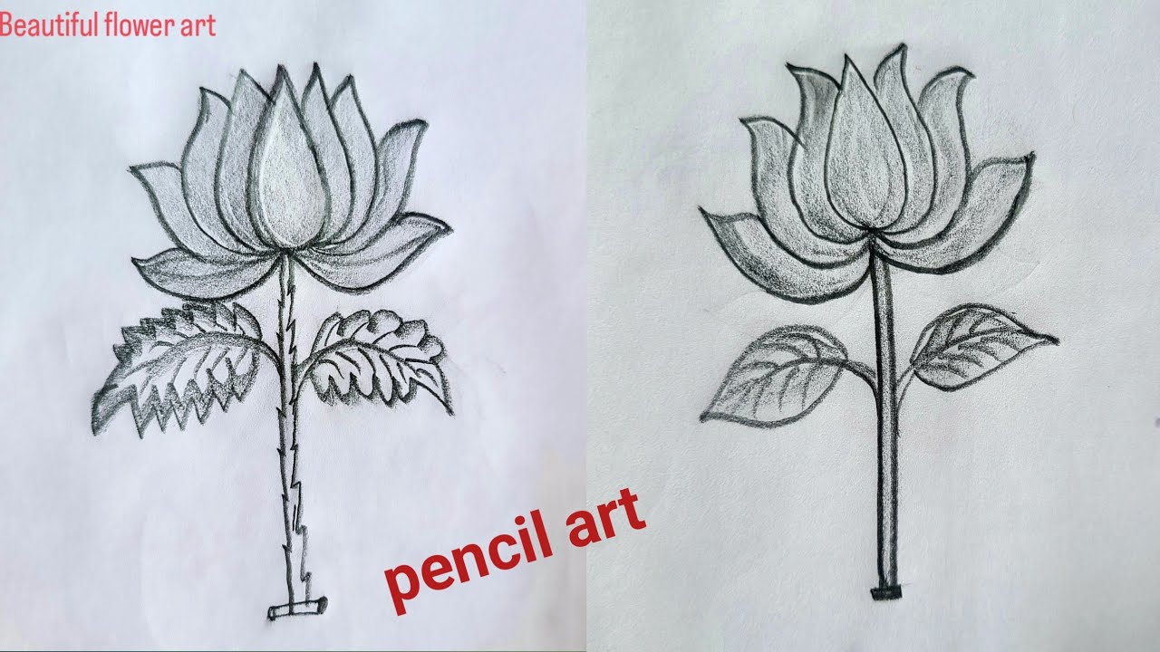 Very easy 4 flowers 🌺 art tutorial with pencil 💕 🌺||খুব সহজেই ৪ টি ফুল আর্ট টিউটোরিয়াল টিপস||