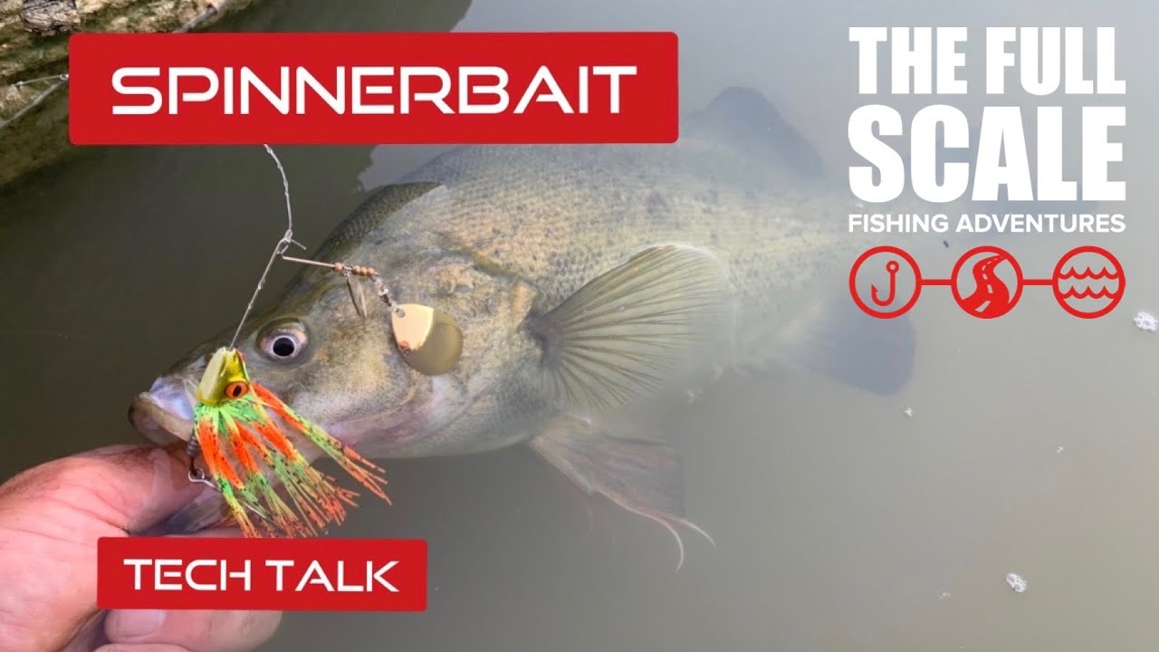 Spinnerbaits For Golden Perch | Tech Talk | The Full Scale