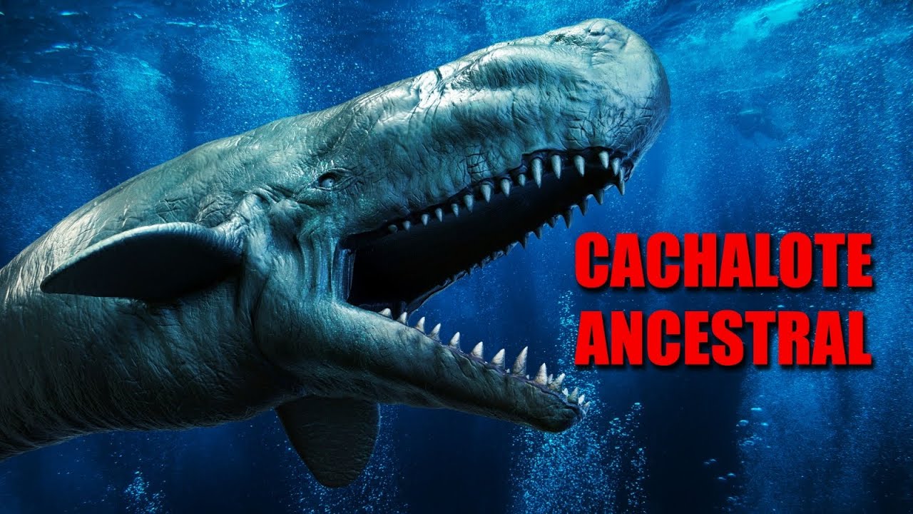 el LIVYATAN fue el TERROR de las BALLENAS