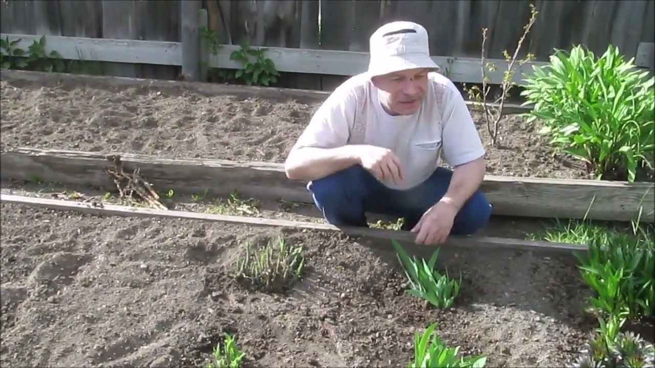 Разные рассказы о стройке и цветы. (25.05.2024г.)