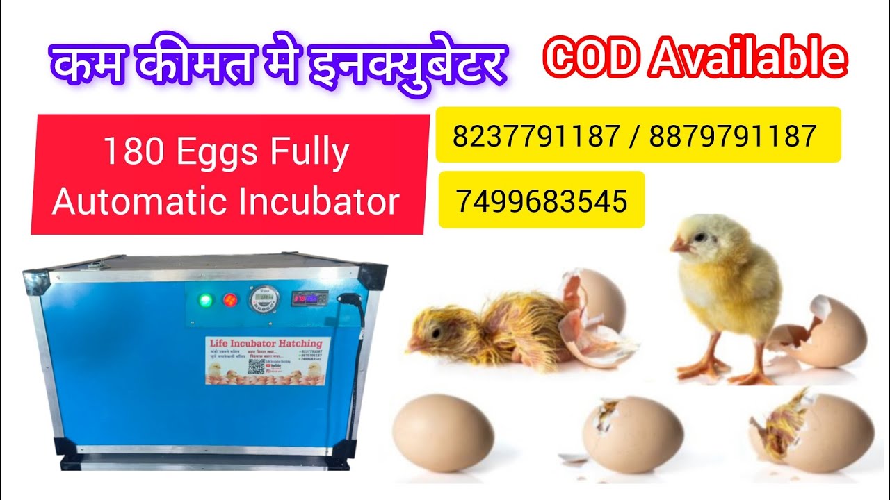 180/200 Eggs Fully Automatic Incubator low price best hatching Incubator #trending #viralvideo #eggs