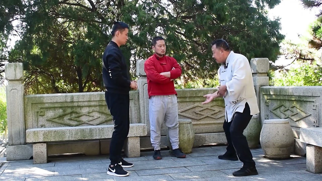 老武术家改拳！形意拳太极拳法度：手起身落！