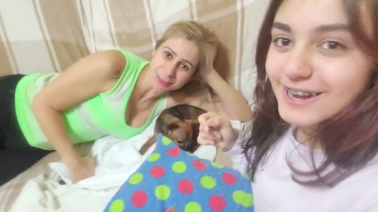O CACHORRO MAIS CHATO E ESTRESSADO