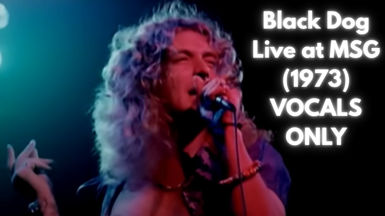 Led Zeppelin - Black Dog (Live at MSG) VOCALS ONLY
