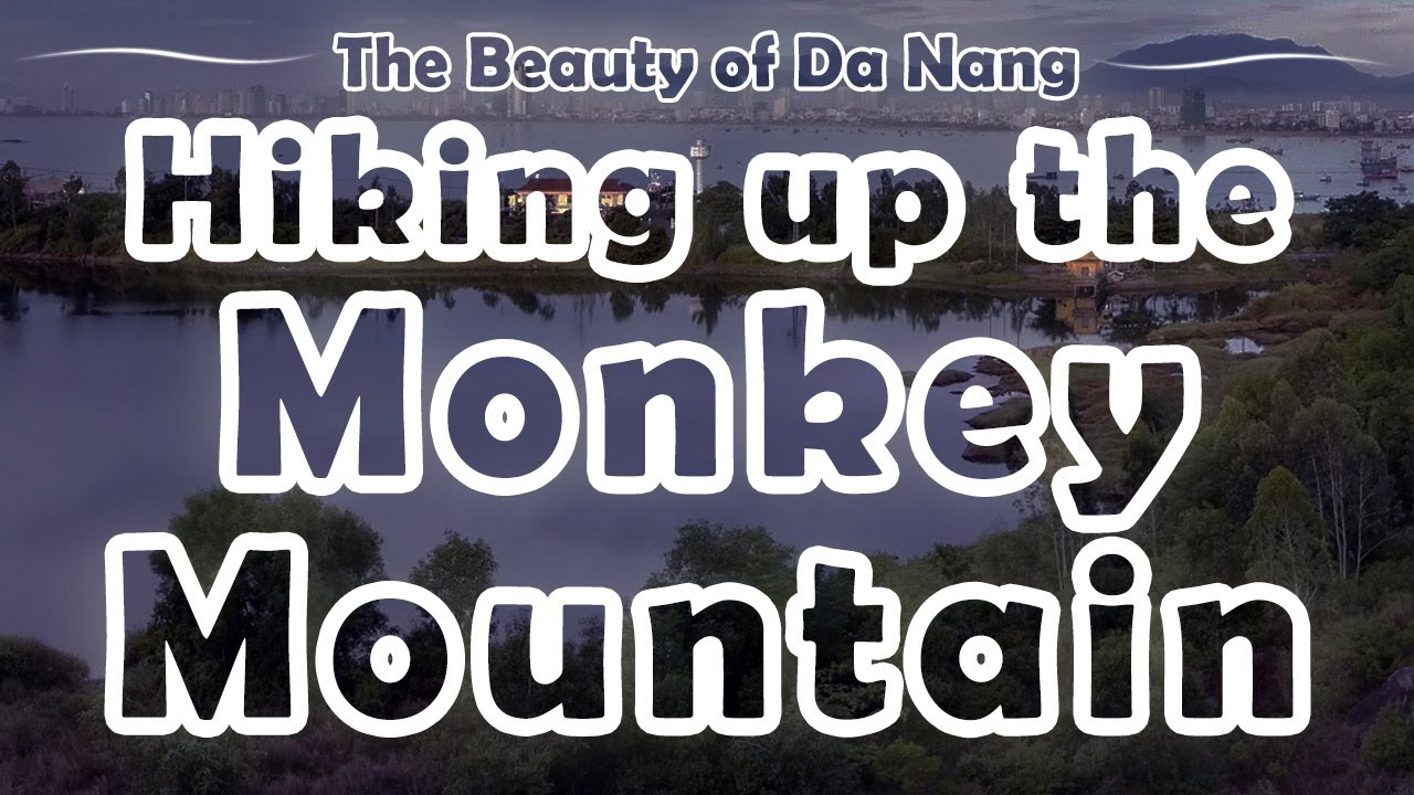 Hiking in Sơn Trà – 16 hours marathon to the Monkey Mountain
