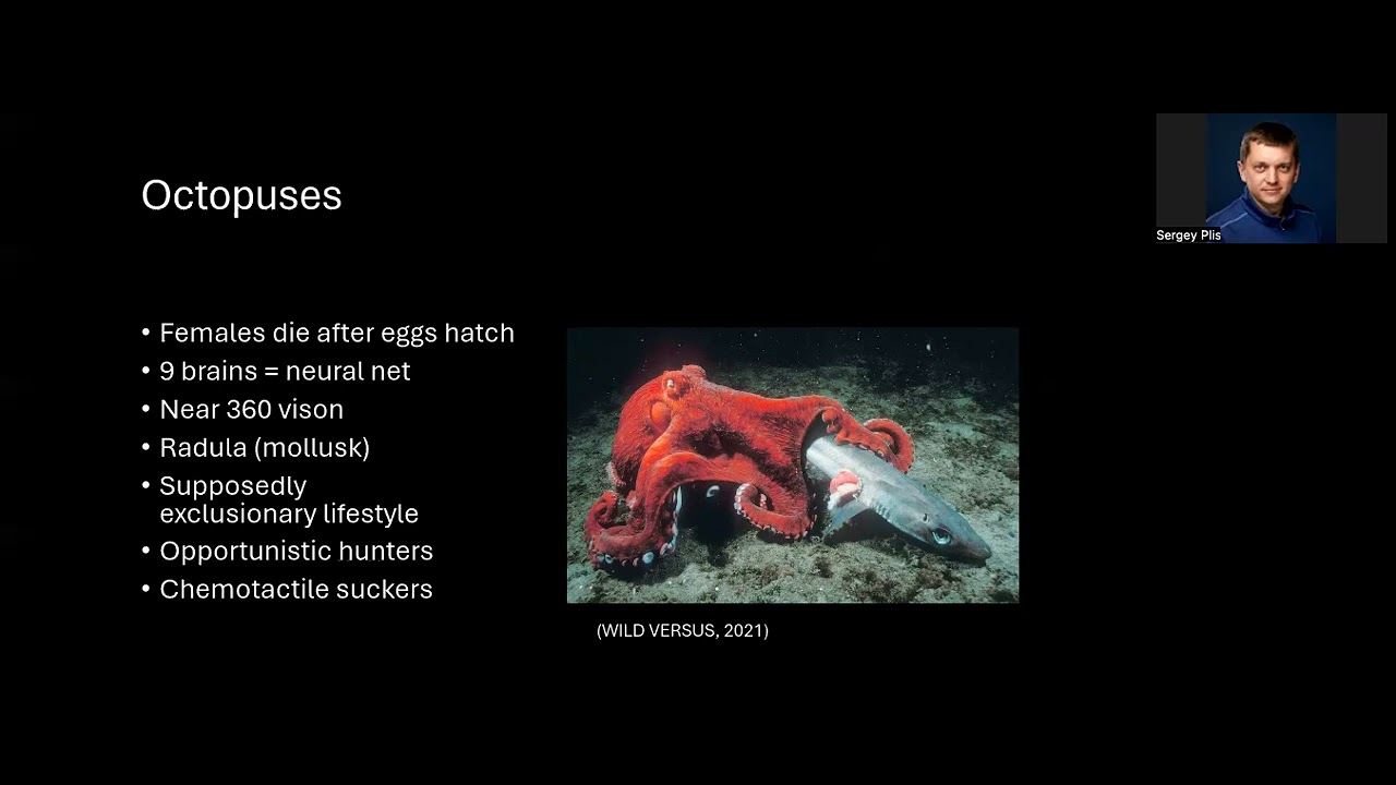 MLBBQ: Environmental microbiomes drive chemotactile sensation in octopus by Jordan Clemsen
