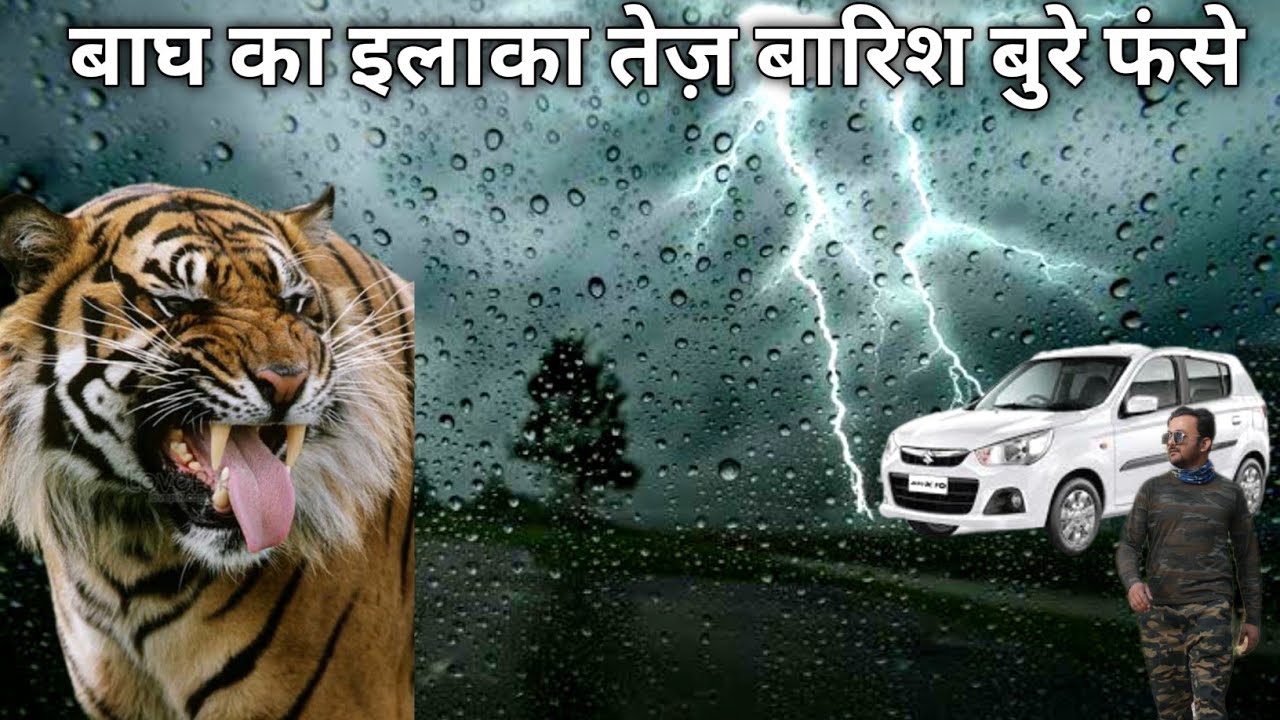 Jim Corbett National Park Latest Video Heavy Rain Night Drive In Jungle Scarry Night In Jungle