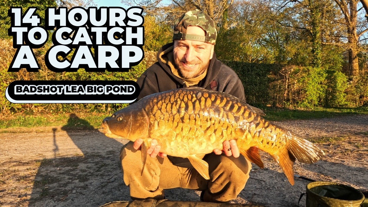 Carp Fishing Badshot Lea Big Pond | Short Overnight Session