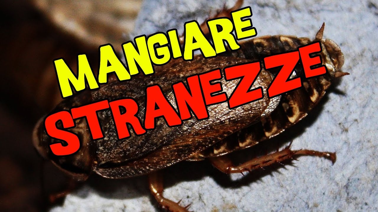 MANGIAMO STRANEZZE DAL LUSSEMBURGO