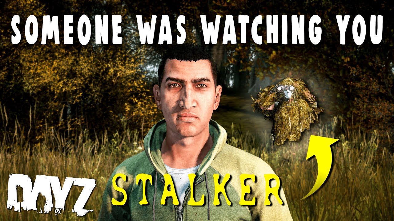 What If Someone Was Stalking You In DayZ