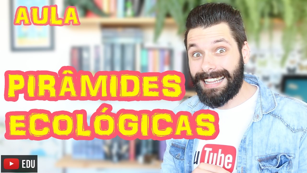 Pirâmides Ecológicas - Ecologia | Biologia com Samuel Cunha