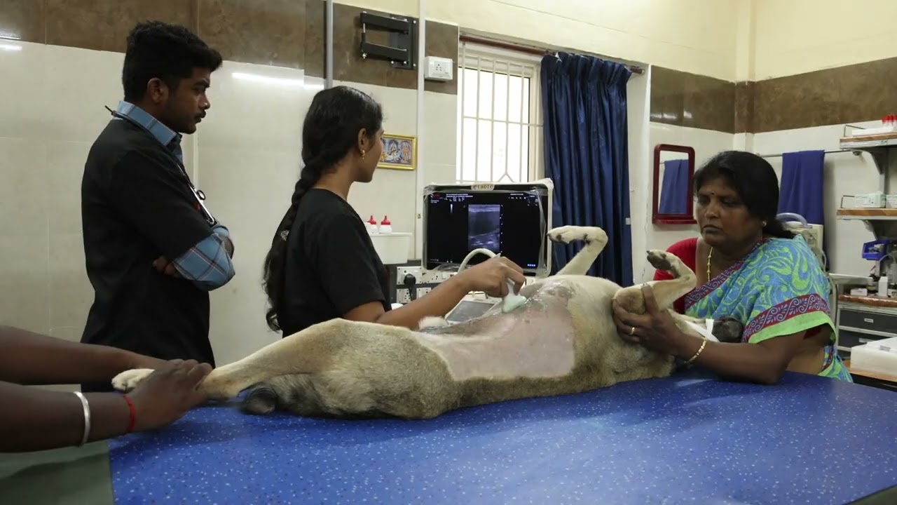 Veterinary College and Research Institute, Namakkal_Facilities and Admission Details 2026
