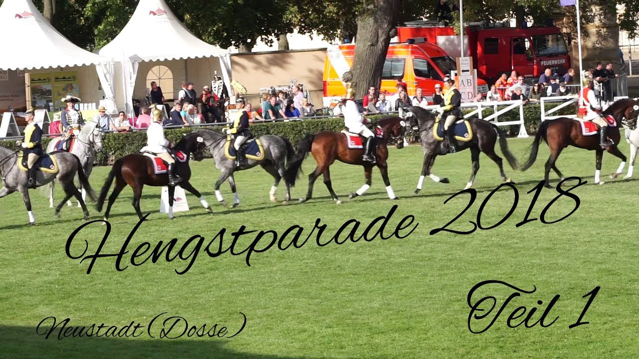 Hengstparade 2018 in Neustadt (Dosse) Teil 1/5 I Einmarsch I Akrobatik I uvm.