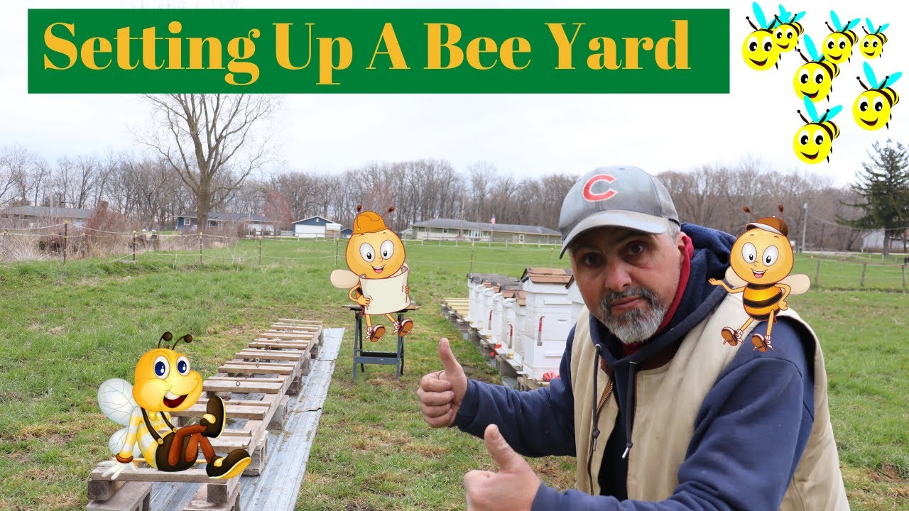SETTING UP A BEE YARD ( APRIL 2020 ) #beeyards #beekeeping #settingupabeeyard