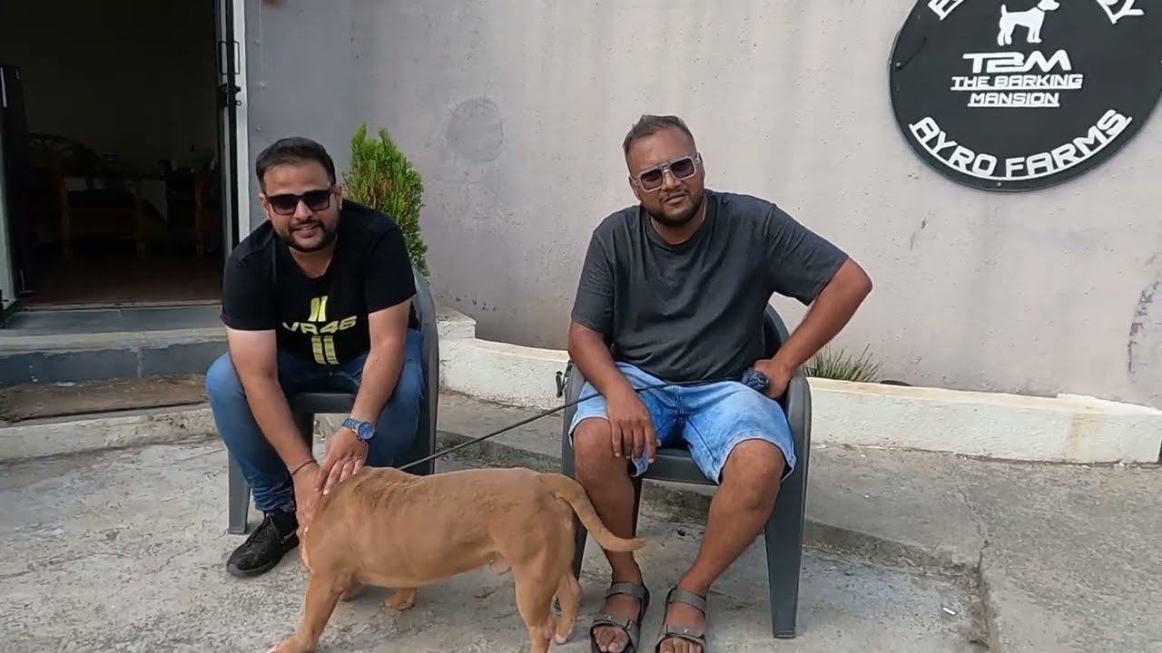 Imports Champions Dog Kennel In Pune | Biggest Dog Kennel In Maharasthra #dogkennel