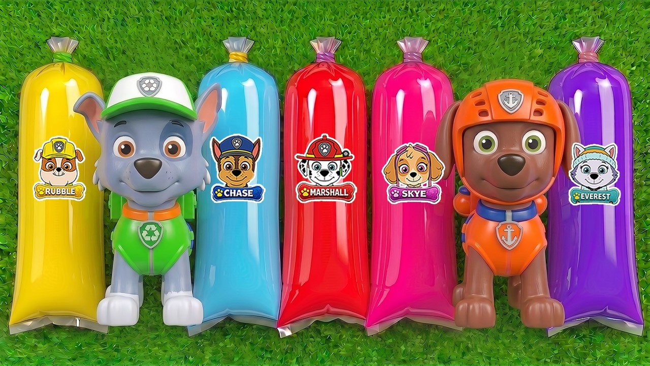 All Best Paw Patrol Toys | Skye, Marshall, Rubble, Rocky, Ryder, Chase, Everest, Zuma, Robo-dog