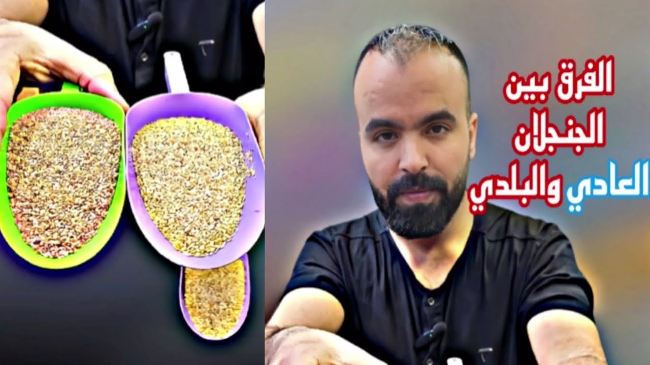 الفرق بين الجنجلان البلدي والمصري