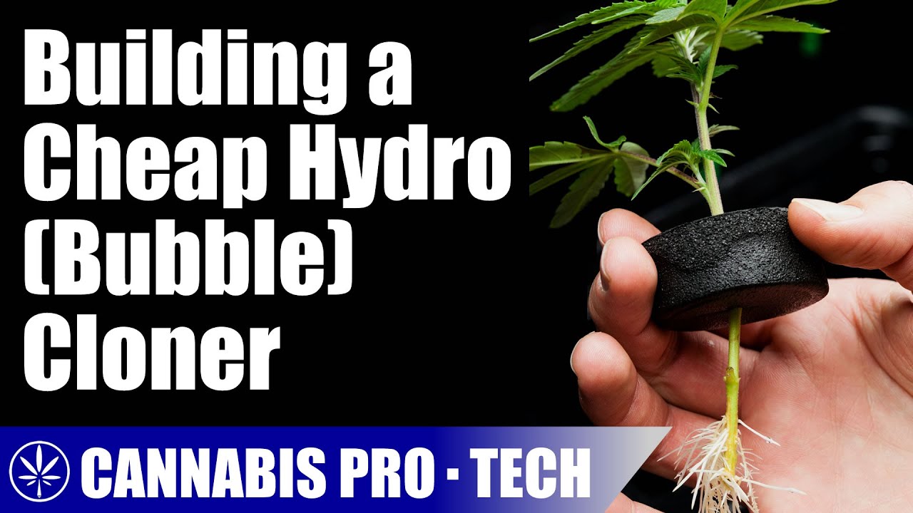 Building a Hydroponic Cloning Machine for Cheap!!!