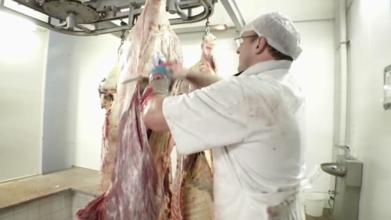 Les abattoirs d'Anderlecht devront cesser leurs activités en 2028