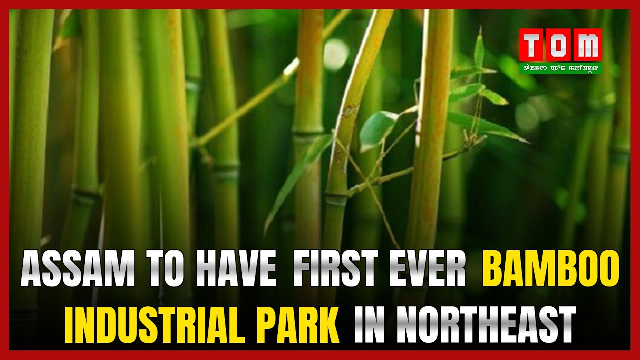 ASSAM TO HAVE FIRST EVER BAMBOO INDUSTRIAL PARK IN NORTHEAST