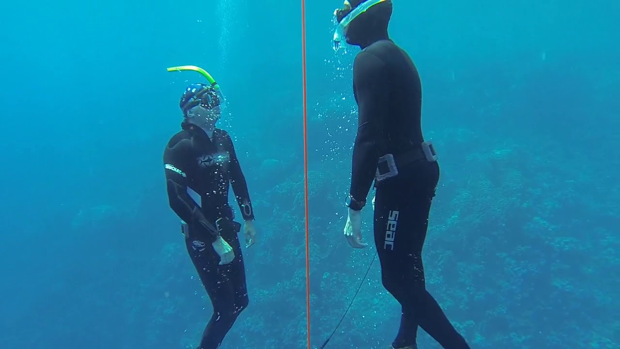 Stage Apn&eacute;e et Dauphins Mer Rouge 2014