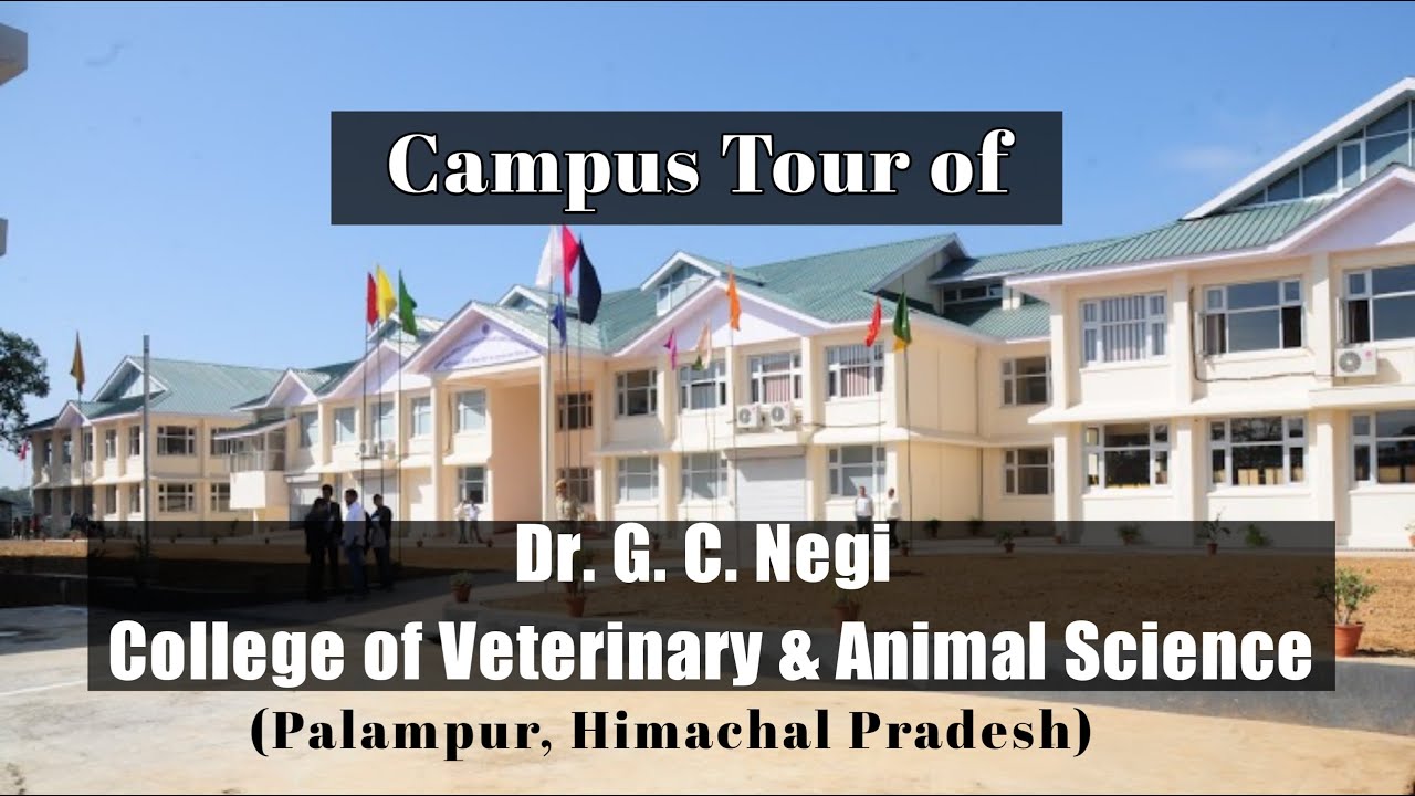 Trip to Dr GC Negi College of Veterinary & Animal Science, Palampur, Himachal Pradesh || Mala Modi
