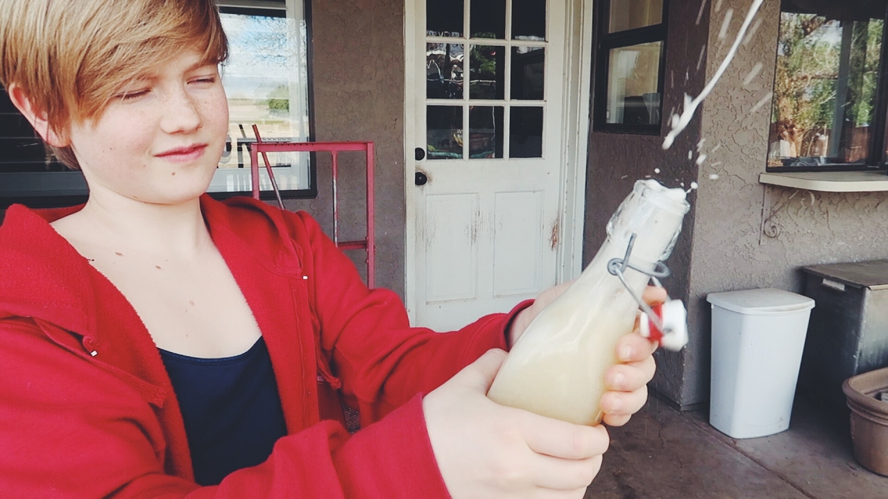 Pretty darn good HOMEMADE SODA -- made from homegrown fruit!