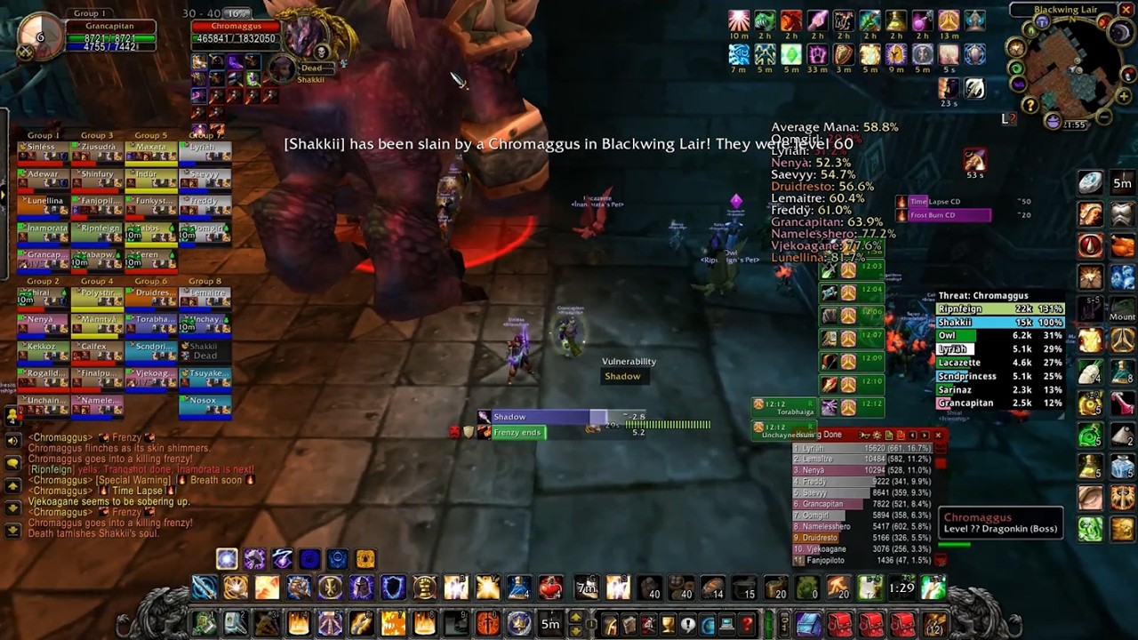 WoW classic HC BWL Chromaggus goes loose during timelapse
