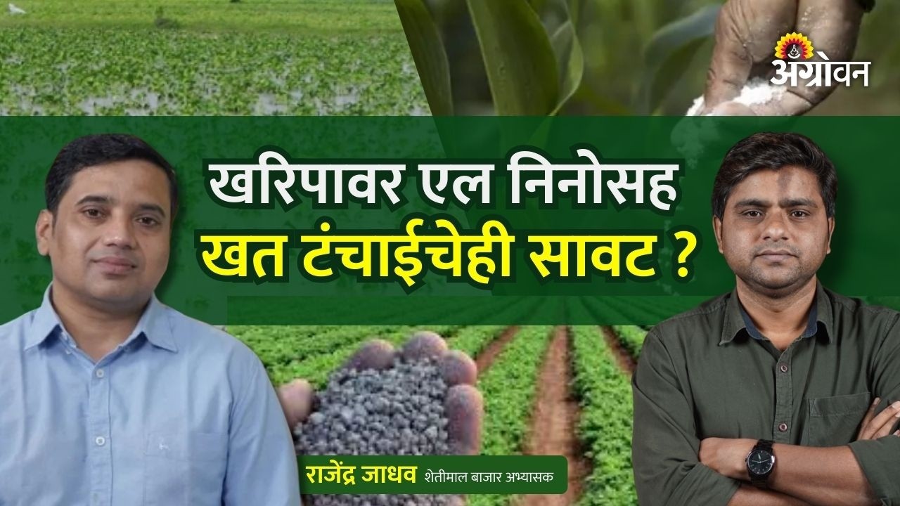 Fertilizer Shortage: युध्द जास्त दिवस चालल्यास खरिपात खते मिळतील का? | Agrowon