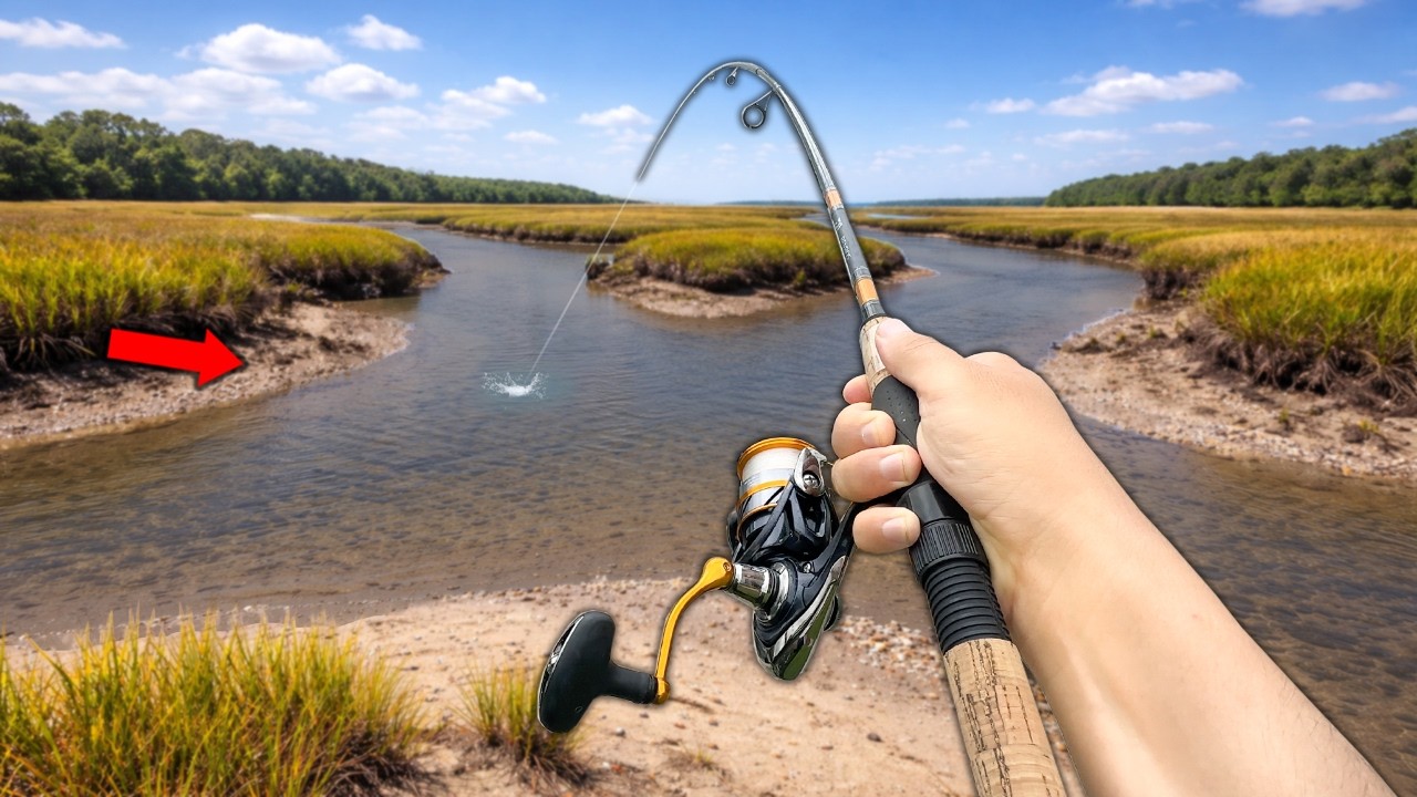 Eating Whatever I Catch.. Fishing a SECRET Creek (Catch and Cook)