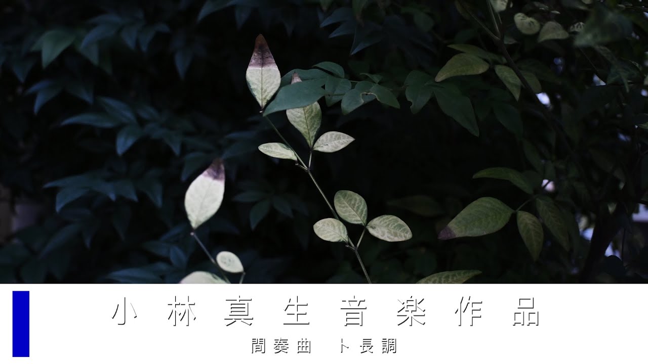 【ピアノ独奏】間奏曲 第53番 ト長調 MWY 414（2025）｜小林真生音楽作品（再録）