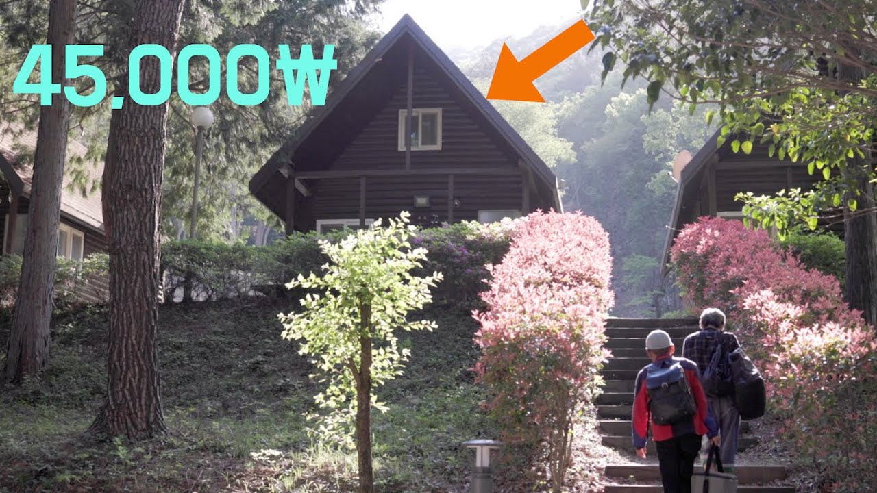 Национальный отель в лесу | Красивые пейзажи в Корее | ресторан на вершине утеса