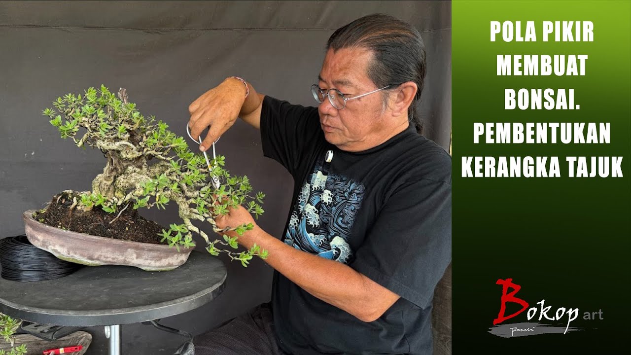 POLA PIKIR MEMBUAT BONSAI. Pembentukan Kerangka Tajuk