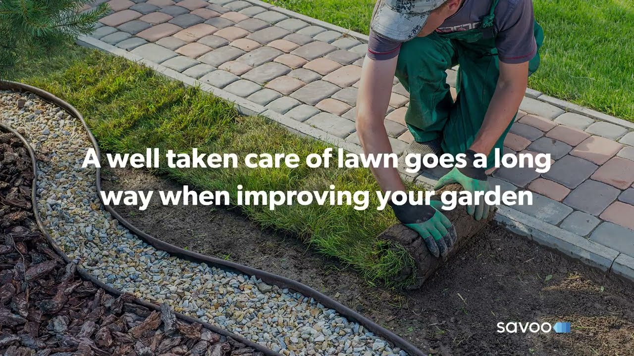 Cheap budget friendly garden ideas for small gardens