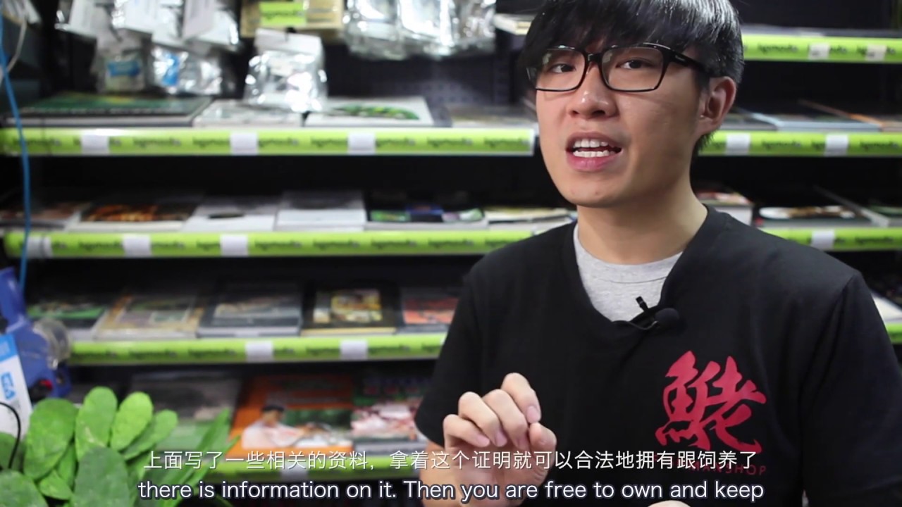The Expedition of reptile markets in China