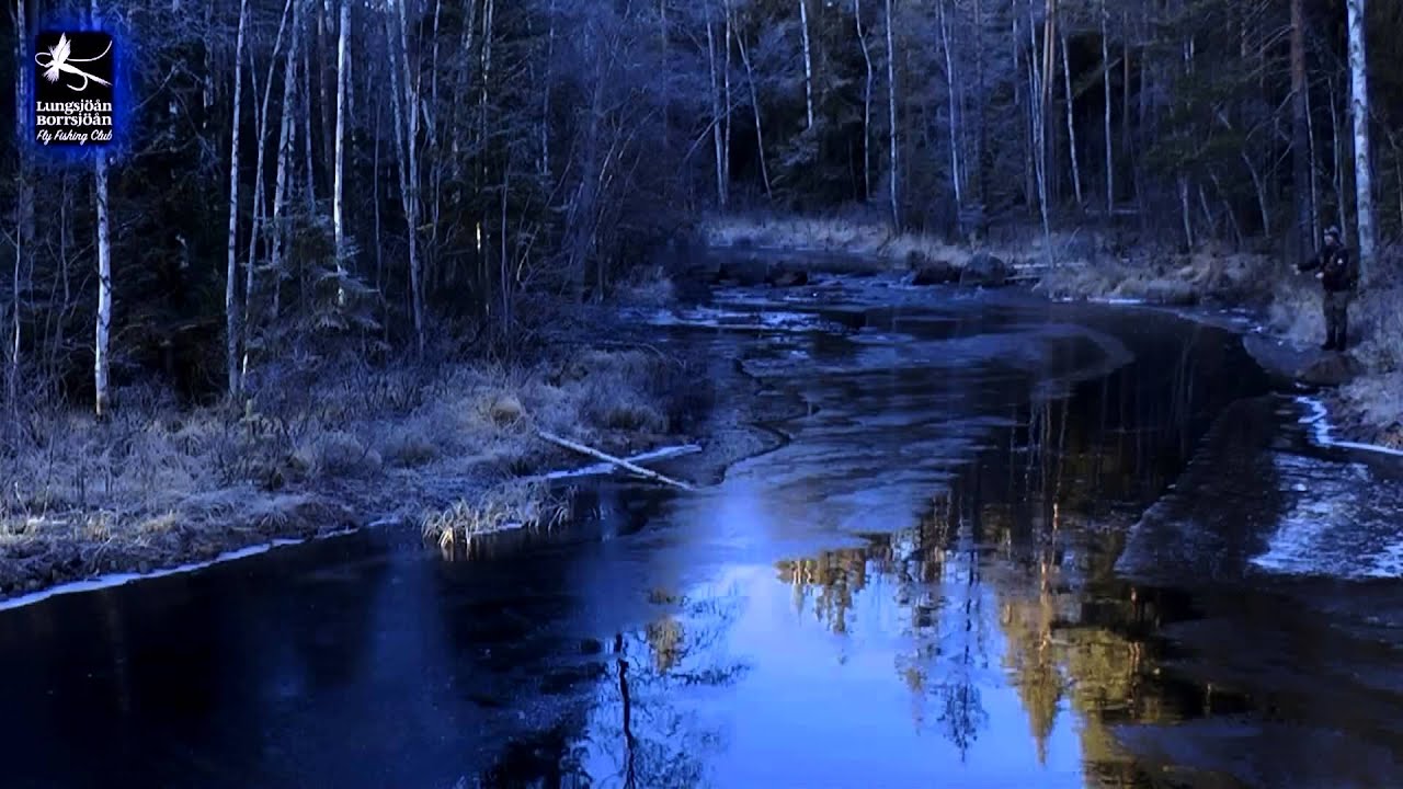 Lungsj&ouml;&aring;n slogboden istider